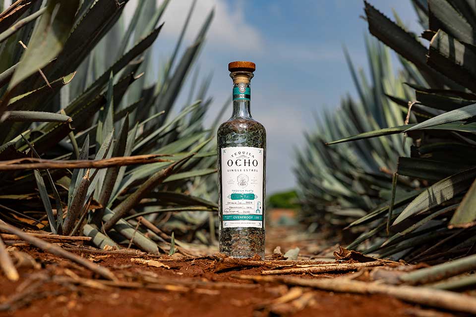Tequila Ocho Plata Puntas 2024