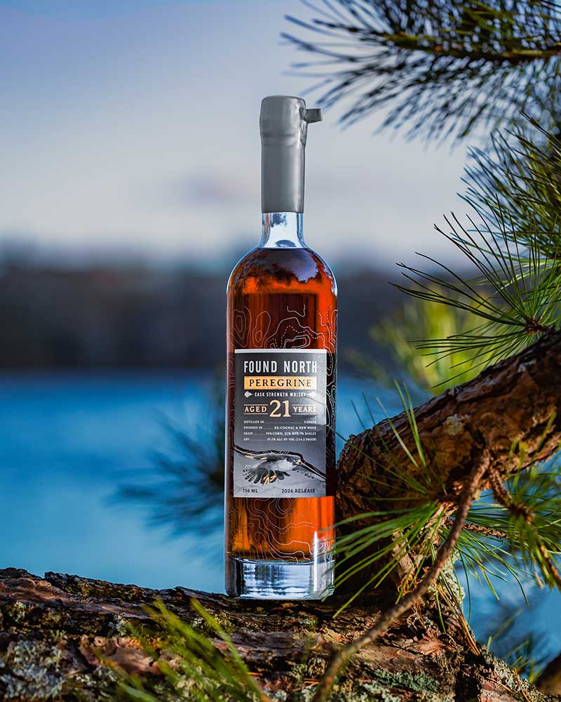 Found North Peregrine 2024